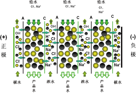 8187cf89-8cfd-4307-b1b1-8bb5b3a4e2b1.png